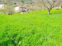 IMG-20241021-WA0000.jpg
