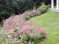 IMG-20231005-WA0006.jpg