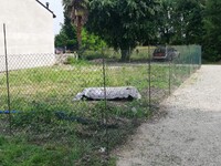IMG-20230530-WA0000.jpg