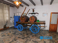 DSCN0936.JPG