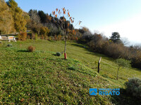 DSCN0192.JPG