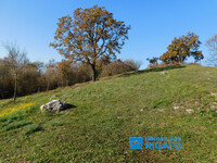 DSCN0195.JPG