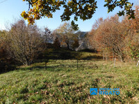 DSCN0196.JPG