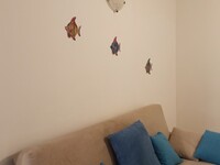 IMG_20250624_092335.jpg