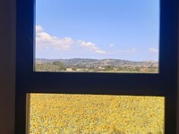 24f43417-9764-473a-a3af-03e3998d73bc.jpeg