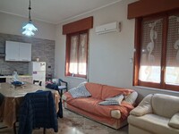 WhatsApp Image 2026-02-13 at 18.57.16.jpeg