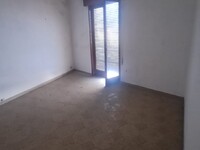 WhatsApp Image 2026-02-06 at 21.17.59.jpeg