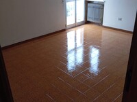 WhatsApp Image 2026-02-11 at 12.19.52 (1).jpeg