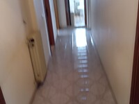 WhatsApp Image 2026-02-11 at 12.19.52 (3).jpeg