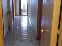 WhatsApp Image 2026-02-11 at 12.19.52 (5).jpeg