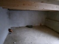 WhatsApp Image 2026-03-10 at 14.03.55.jpeg