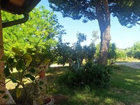 WhatsApp Image 2025-08-07 at 11.00.28 (3).jpeg