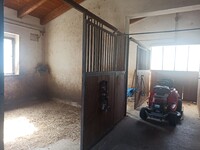 WhatsApp Image 2025-08-07 at 11.00.28 (11).jpeg