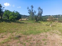 WhatsApp Image 2025-08-07 at 11.00.28 (8).jpeg