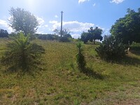 WhatsApp Image 2025-08-07 at 11.00.28 (10).jpeg