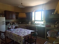 WhatsApp Image 2025-08-07 at 11.00.29 (8).jpeg