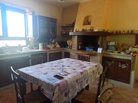 WhatsApp Image 2025-08-07 at 11.00.29 (9).jpeg