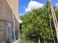 WhatsApp Image 2026-03-23 at 13.06.53 (1).jpeg