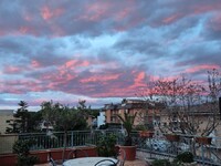 WhatsApp Image 2026-03-30 at 19.17.58.jpeg