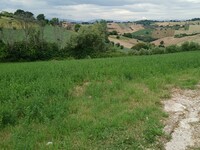 2d4ed0e7-f5d5-48e2-ac14-70a9c3f563ee.jpg