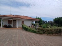 cf6206ad-108f-412f-a248-bb8b0562f2e6.jpg