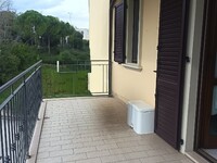 ddd9ff1b-da5c-4a41-a54c-b531a822e391.jpg
