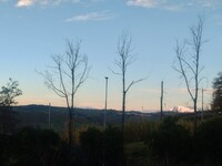 Panorama.jpg