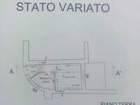 P.terra.jpg