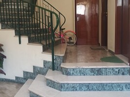 IMG_20240529_180801.jpg