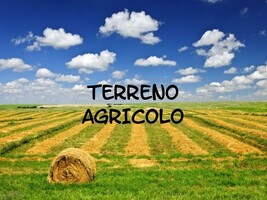 terreno agricolo.jpg