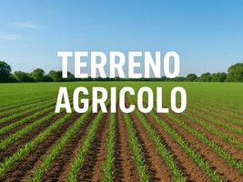 terreno.png