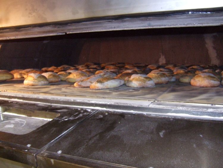 forno-panificio5.jpg