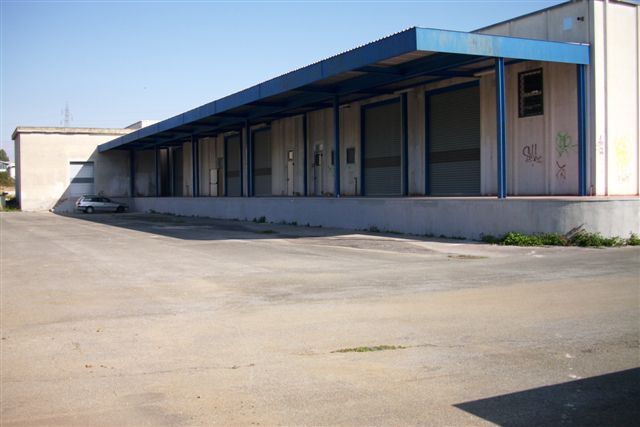 DSCI0231.JPG