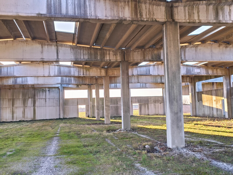 IMG20240123155949.jpg
