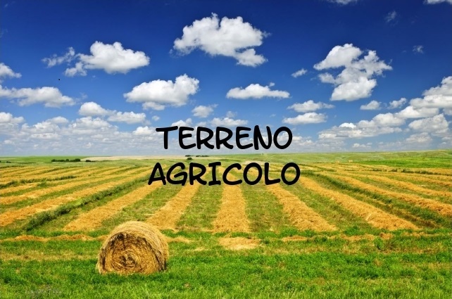 terreno agricolo.jpg