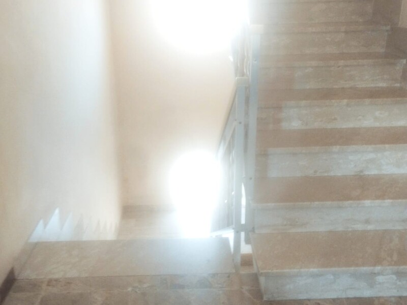 777e3d8e-18b9-4a25-814e-871eb7468fd6.jpeg