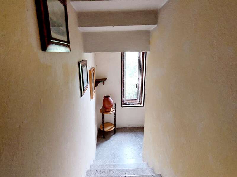 20250604_172709.jpg