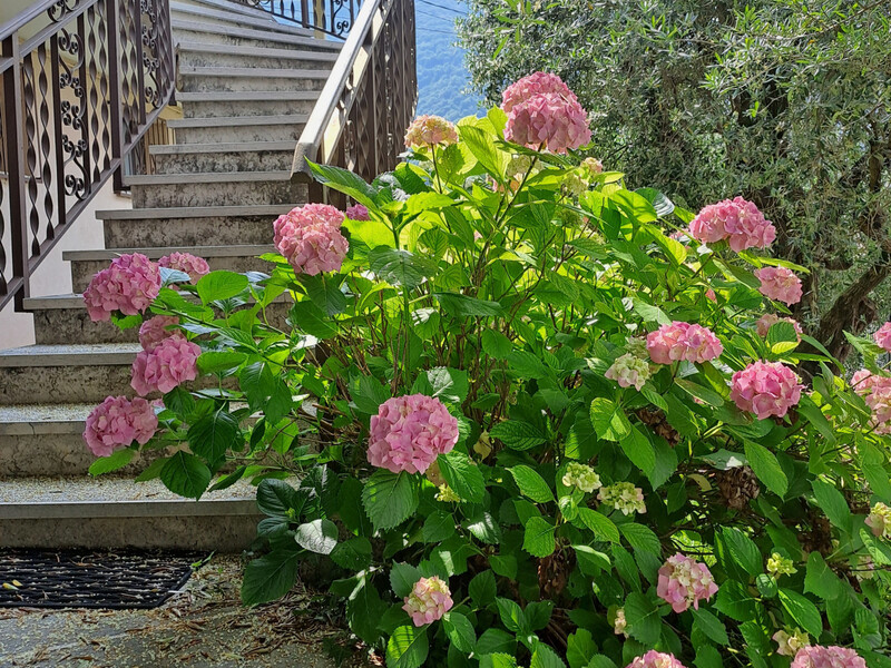 20240606_103822.jpg