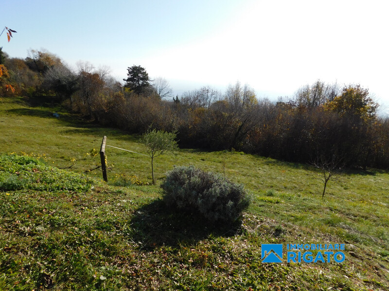 DSCN0193.JPG