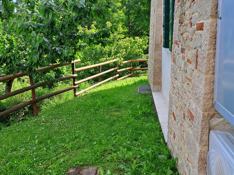 20250529_101117.jpg