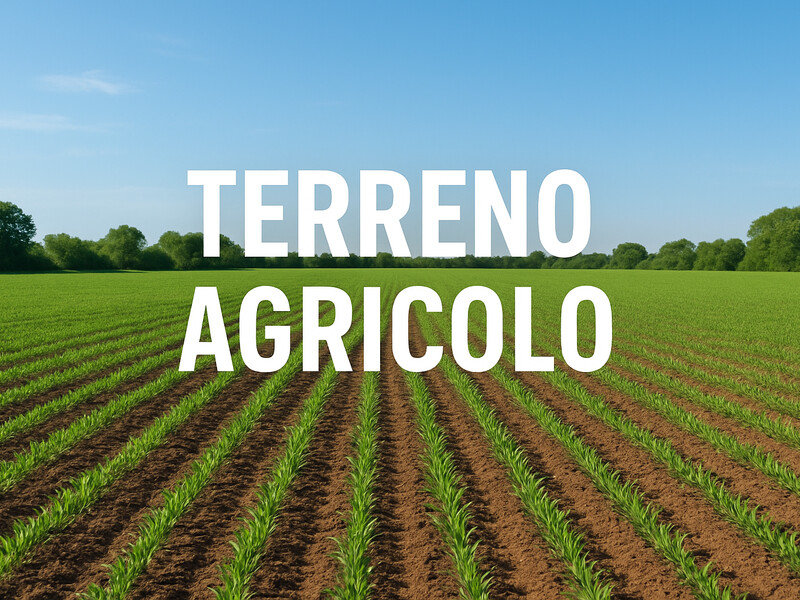 terreno.png
