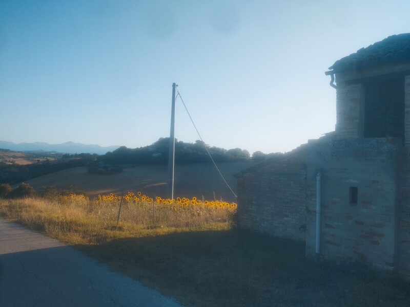 casale.jpeg