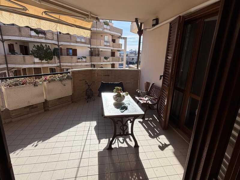 WhatsApp Image 2026-01-27 at 13.16.39 (8).jpeg