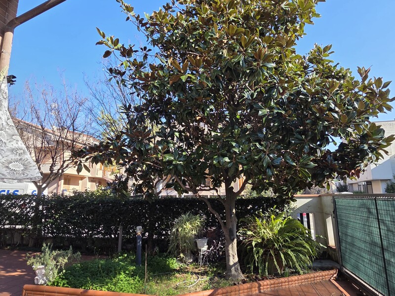 WhatsApp Image 2026-02-09 at 18.17.39.jpeg