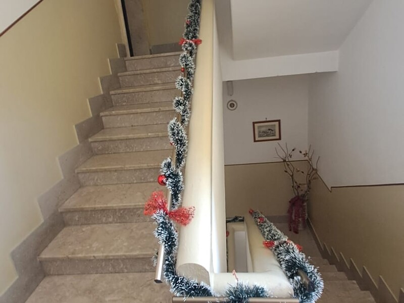 WhatsApp Image 2026-02-06 at 21.20.24.jpeg