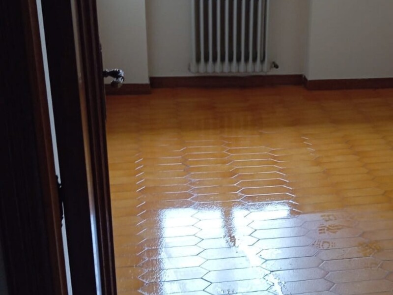 WhatsApp Image 2026-02-11 at 12.19.52 (2).jpeg