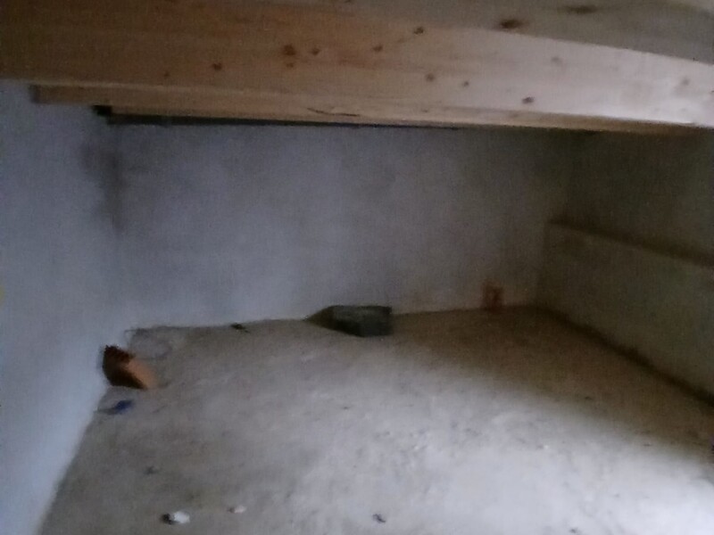 WhatsApp Image 2026-03-10 at 14.03.55.jpeg