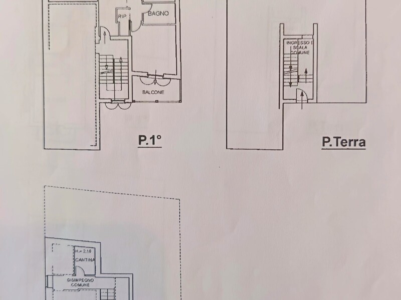 Appartamento in affitto Pianta.jpg