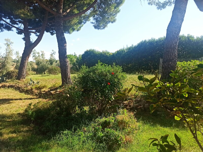 WhatsApp Image 2025-08-07 at 11.00.28 (4).jpeg