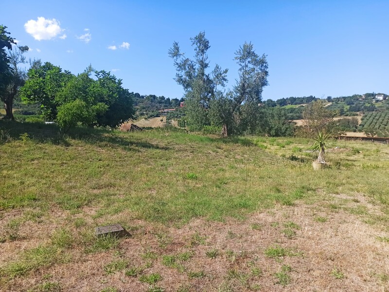 WhatsApp Image 2025-08-07 at 11.00.28 (8).jpeg